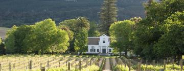 Cape Winelands的别墅