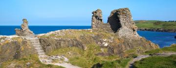 Ireland's Ancient East的住宿加早餐旅馆