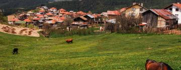 Rhodope Mountains的住宿加早餐旅馆