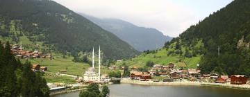 土耳其黑海地区的度假村