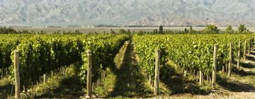 Wine Route Mendoza的别墅