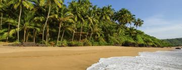 South Goa的海滩酒店