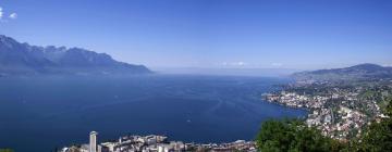 Lake Geneva / Vaud的高尔夫酒店