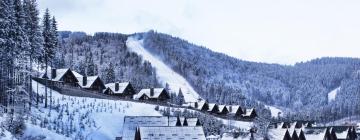 Bukovel Ski的酒店