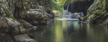 Banat的住宿加早餐旅馆