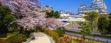 兵库县的住宿加早餐旅馆