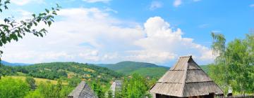 Zlatibor Region的住宿加早餐旅馆