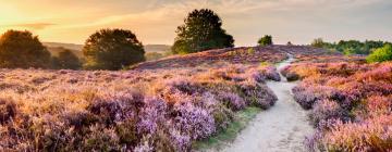 Hoge Veluwe National Park的别墅