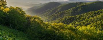 Blue Ridge Mountains的公寓