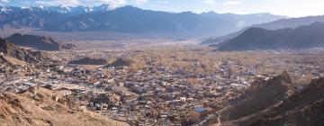 Leh Ladakh的豪华帐篷营地