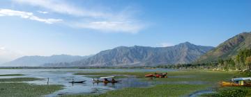 Jammu & Kashmir的住宿加早餐旅馆