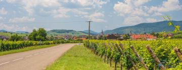 Alsace Wine Route的别墅