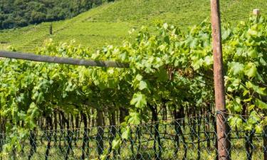 Alto Adige Wine Route的旅馆