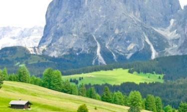 Val Gardena的公寓