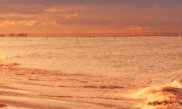 Rimini Coast的露营地