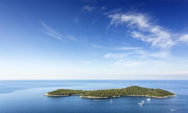 Croatian Islands的度假屋