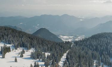 Pamporovo Ski Region的旅馆