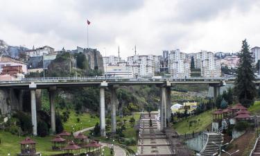 Trabzon Province的木屋