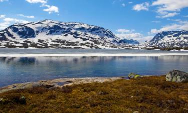 Haukelifjell的酒店