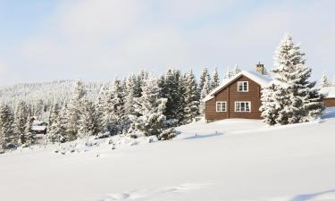 Lillehammer的度假屋