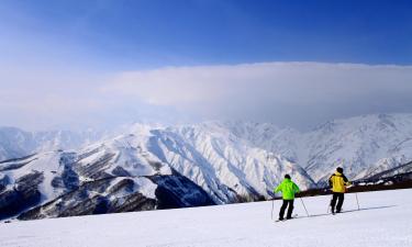 白马村滑雪场的度假村