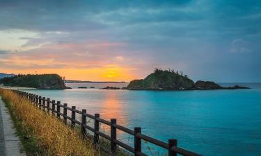 冲绳岛 - 北部的乡村别墅