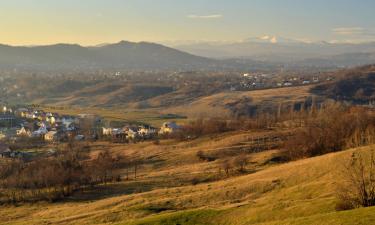 Doftana Valley的乡村别墅