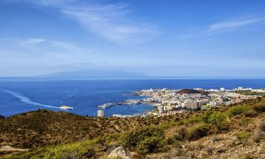 South Tenerife的度假屋