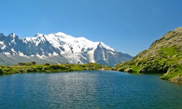 Mont Blanc - France的木屋