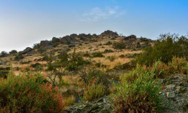 Al Baha Province的乡村别墅