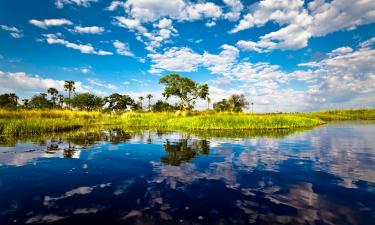 Okavango Delta的豪华帐篷营地