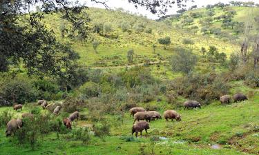 Sierra de Aracena y Picos de Aroche的酒店