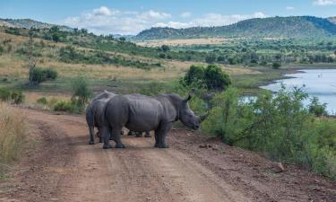 Pilanesberg National Park的山林小屋