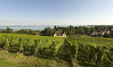 Lake Neuchatel的住宿加早餐旅馆