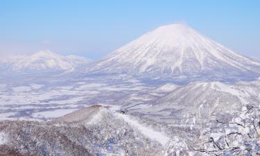 新雪谷町的青旅