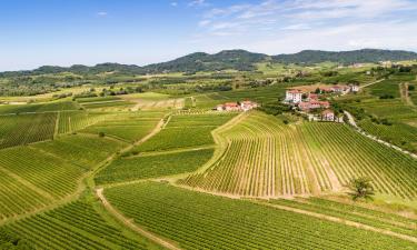 Goriška Brda的住宿加早餐旅馆