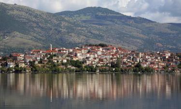 Kastoria Prefecture的乡村别墅