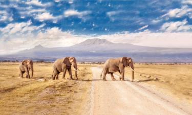 Amboseli National Park 的豪华帐篷营地