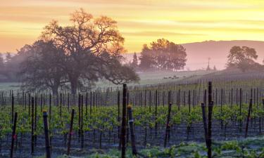 Paso Robles Wine Country 的酒店