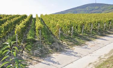 Tokaj Wine Region的旅馆