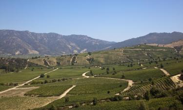 Colchagua Valley Wine Route的ä½å®¿å æ©é¤æé¦