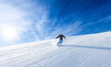 Cerro Chapelco Ski的公寓