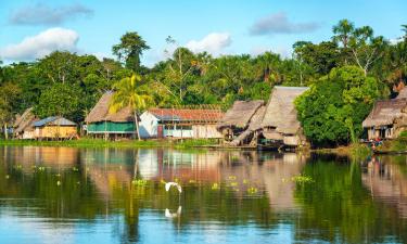 Iquitos Jungle的山林小屋
