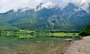 World Heritage Region Hallstatt的海滩短租房