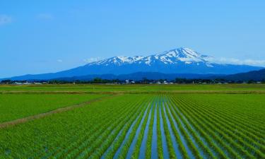 山形的山林小屋