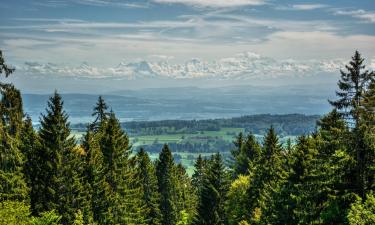 Bernese Jura/Neuchatel的木屋