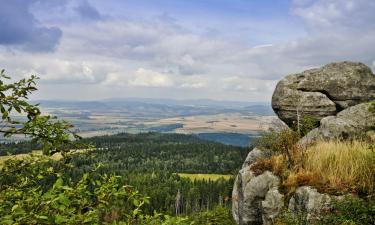 Klodzko Valley的别墅