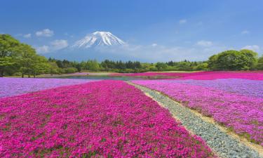 山梨县的乡村别墅