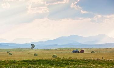 Southern Alberta的汽车旅馆