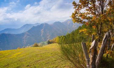 Parco nazionale delle Foreste Casentinesi, Monte Falterona e Campigna的酒店